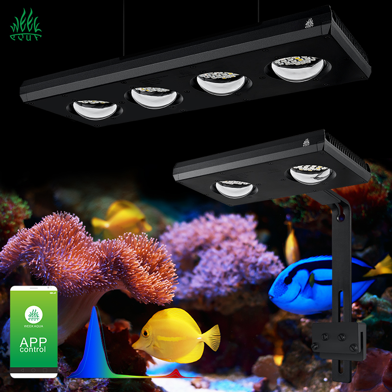 Marine Aquarium App - ZXY Hot Sale WEEKAQUA Z250 Z400sea