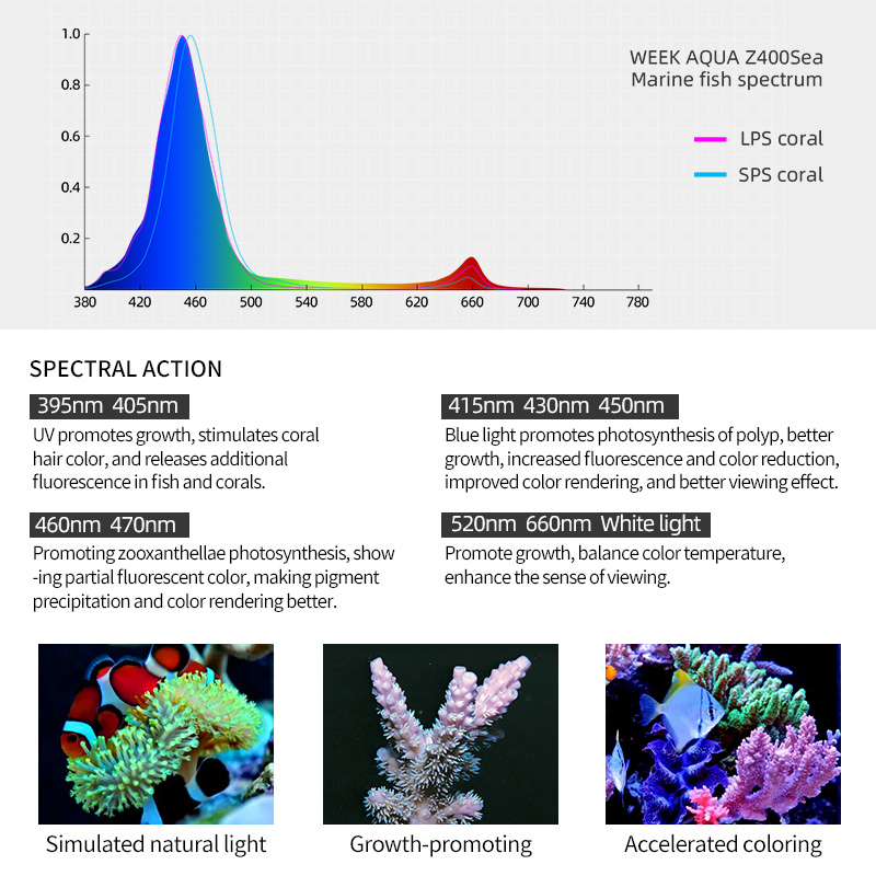 ZXY Hot Sale WEEKAQUA Z250 Z40 - Marine Aquarium App 评论和价格