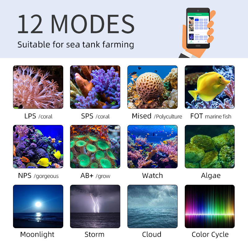 ZXY Hot Sale WEEKAQUA Z250 Z40 - Marine Aquarium App 评论和价格