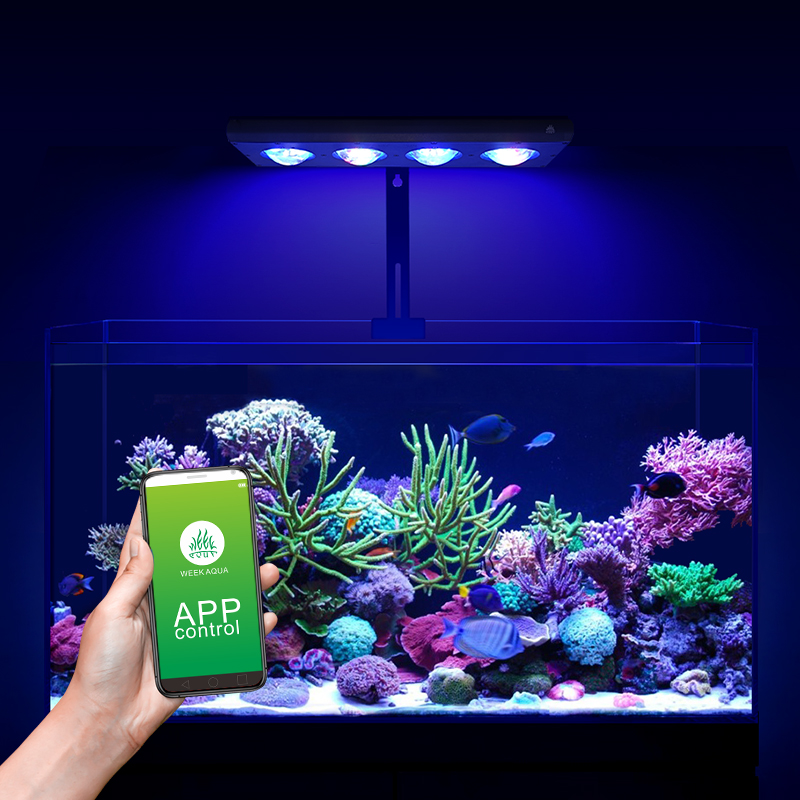 ZXY Hot Sale WEEKAQUA Z250 Z40 - Marine Aquarium App 评论和价格