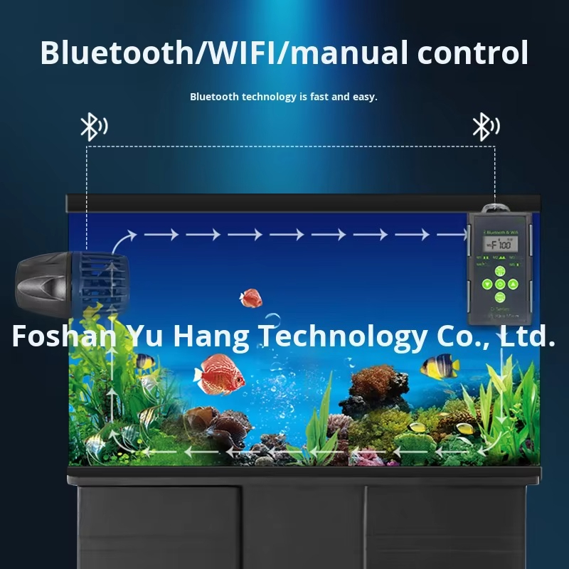 Factory direct sales supply aq - Marine Aquarium Tank For Sale 评论和价格