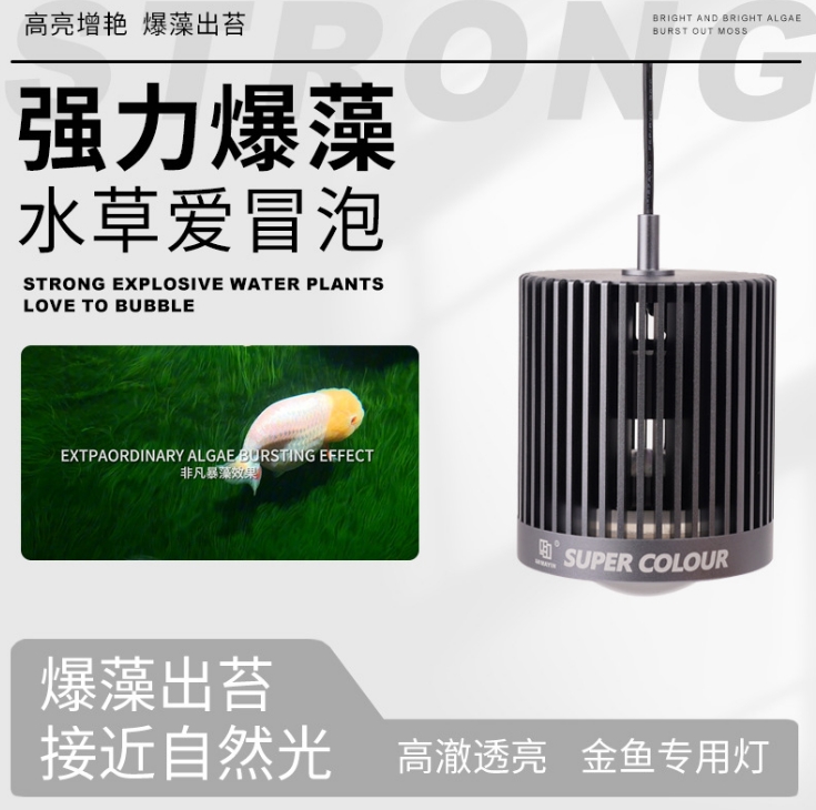 LED Super Color 3D Hot Sale Fi - Marine Aquarium Tank For Sale 评论和价格