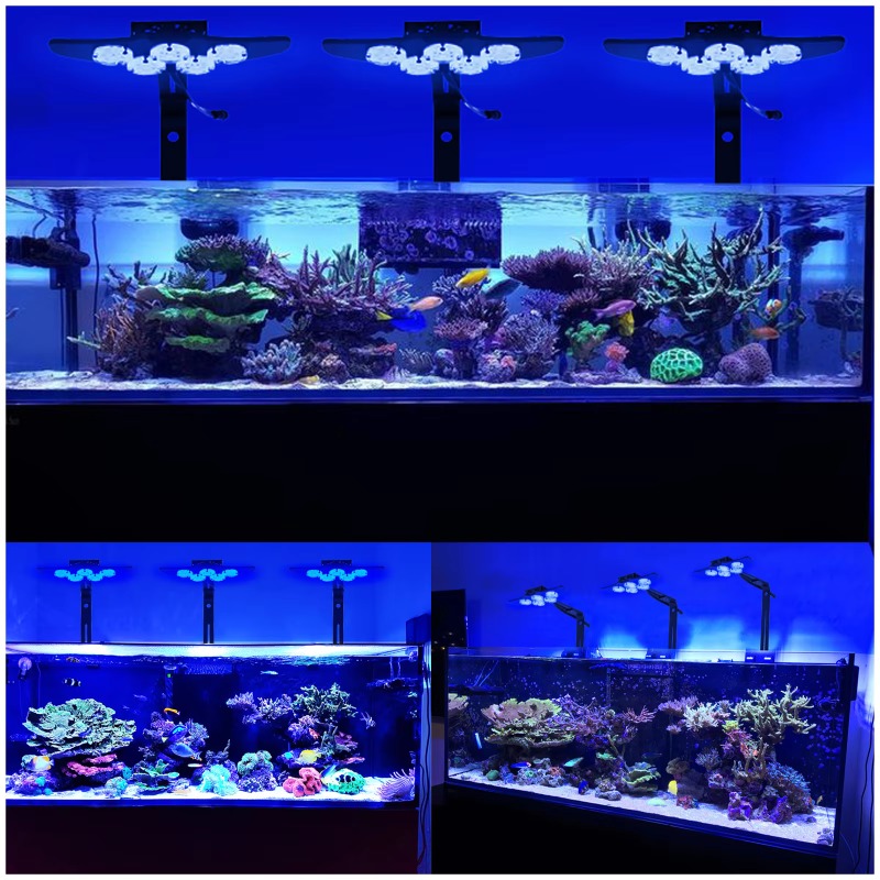 High Brightness Marine LED Fis - Marine Aquarium App 评论和价格
