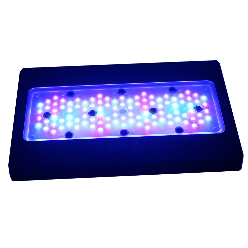 Wholesale A8 Smart WiFi App Pr - Marine Aquarium App 评论和价格